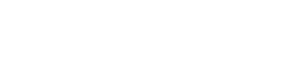 The Searchers logo
