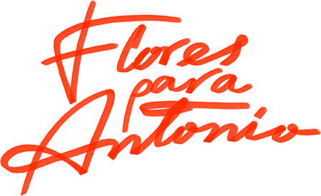 Flores para Antonio logo